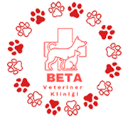 biVet